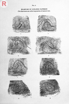 Francis Galton, Finger prints, 1892