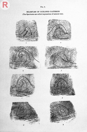 view Francis Galton, Finger prints, 1892