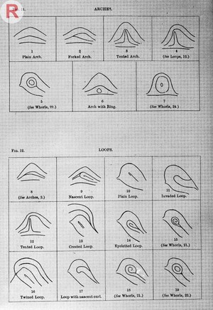 view Francis Galton, Finger prints, 1892