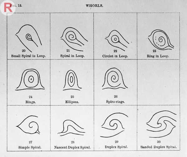 Francis Galton, Finger prints, 1892