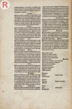 Fasciculus medicine, 1495