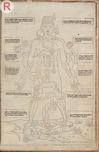 Fasciculus medicine, 1495