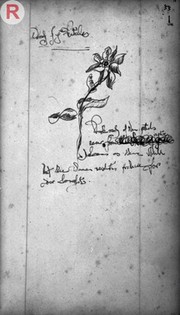 page from Lady Anne Fanshawe's Recipe Book
