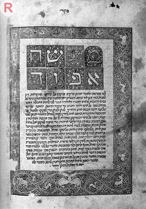 view Ha-Torah (Hebrew)