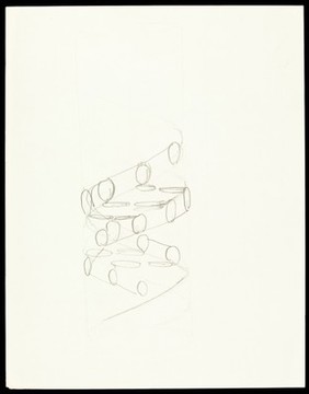 Pencil sketch of the DNA double helix by Francis Crick. It shows a right-handed helix and the nucleotides of the two anti-parallel strands.