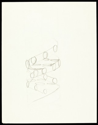 Pencil sketch of the DNA double helix by Francis Crick. It shows a right-handed helix and the nucleotides of the two anti-parallel strands.