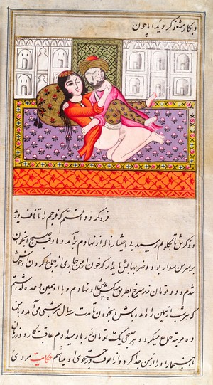 view Persian couple copulating