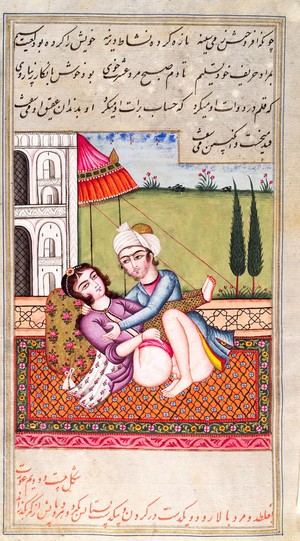 view Persian couple copulating