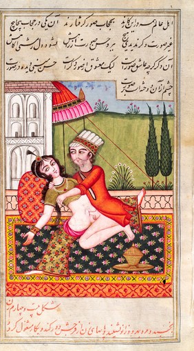 Persian couple copulating