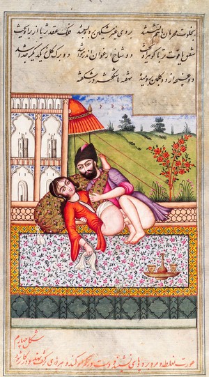 view Persian couple copulating