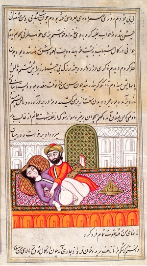 view Persian couple copulating