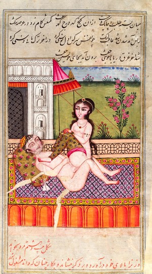 view Persian couple copulating