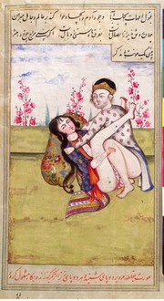 Persian couple copulating