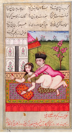 view Persian couple copulating