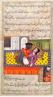 Persian couple copulating