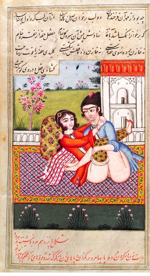 view Persian couple copulating