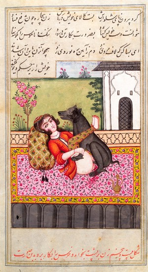 view Persian woman with an animal