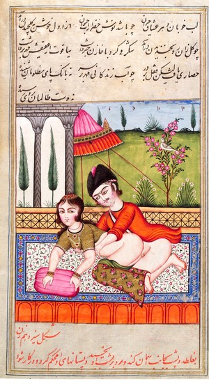 view Persian couple copulating