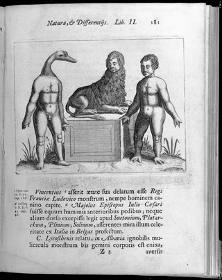 Three figures with abnormalities, One figure has a human body with a ducks head, the second figure has a Lions body with a human head and the third has a human body with webbed feet and hands
