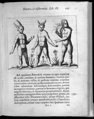 Three figures with abnormalities, one figure has rabbit ears, one has horns and the other one has hooves