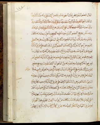 MS Arabic 401