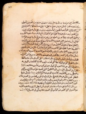 Page from Kitab ad-Dahira fi 'ilm at-Tibb, an Arabic text