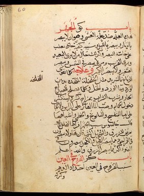 Page from Kitab Tibb al-Gina wa-l-Muna an Arabic medical text concerning general medicine