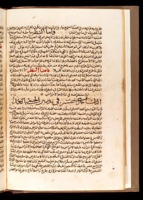 Page from Kamil as-Sina at-Tibbiyya al-ma'ruf bi-l- Malaki,