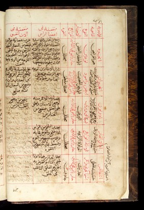 Chart from an Arabic Text, Kitab al-Mungih fit-t-Tadawi min Sunuf al-Amrad wa-s-Sakawi