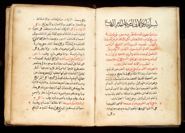 Pages from an Arab Text