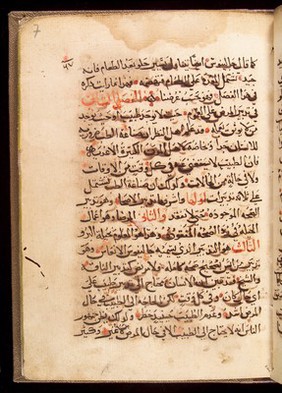 Page from an Arabic Text