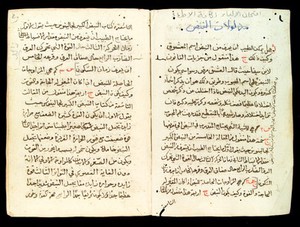 view Pages from an Arab Text