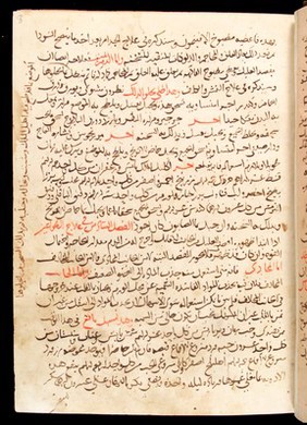 Page from an Arabic Text