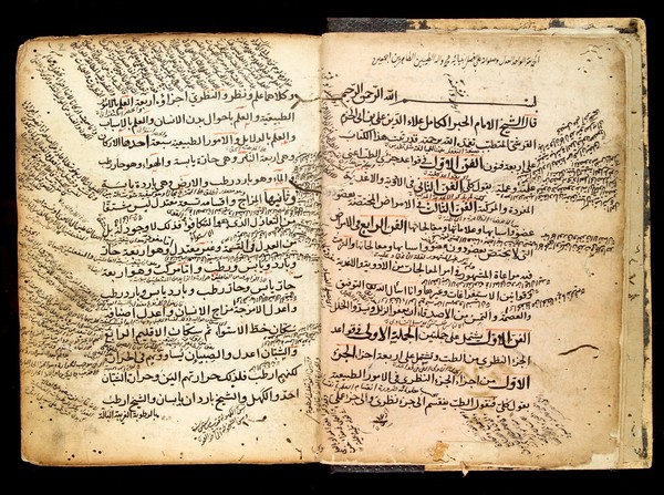 Pages from an Arab Text