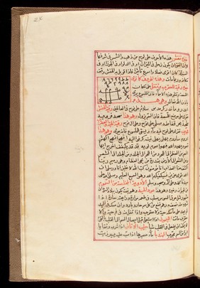 Page from an Arabic Text