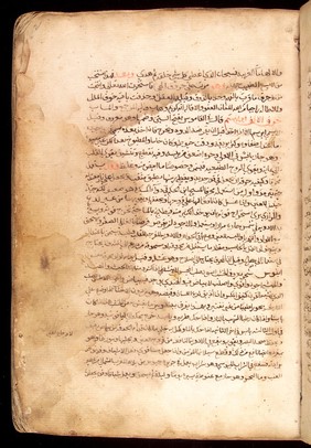 Page from an Arabic Text