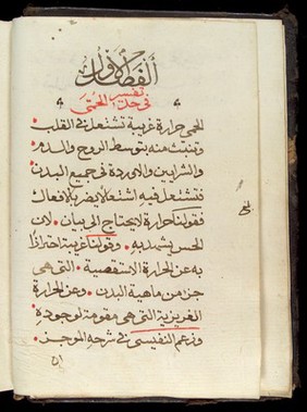 Page from an Arabic Text