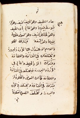 Page from an Arabic Text