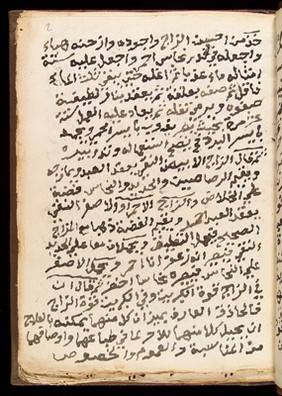 Page from an Arabic Text