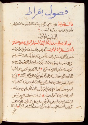 Page from an Arabic Text