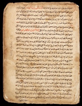 Page from an Arabic Text