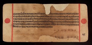 view Bilvamangala's Balagopalastuti: folio 49V