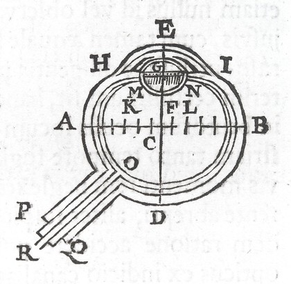 Diagram of an eye