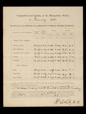 Composition and Quality of the Metropolotan Waters