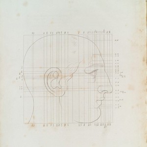 view Drawing of a head showing the Harmonic scale in drawing