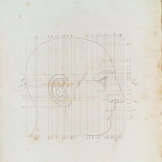 Drawing of a head showing the Harmonic scale in drawing