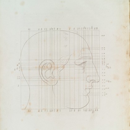 Drawing of a head showing the Harmonic scale in drawing