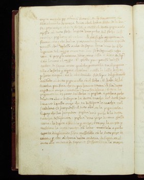 A collection of medical receipts in Italian, against plague