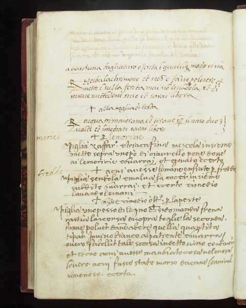 A collection of medical receipts in Italian, against plague