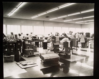 Wellcome Packing Plant, South Africa